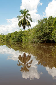 Paraguay river