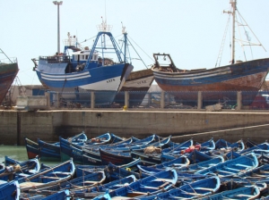 Fishing village of Essaouira in Morocco - our painting holiday location