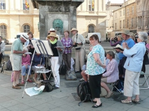 hazel demo in Arles