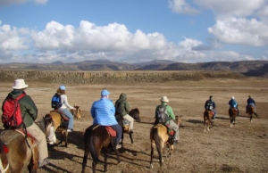 Watching wolves on horseback in Bale Mountains