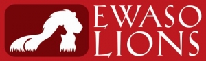 ELWASO Lions Logo