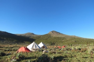 Ethiopia camp