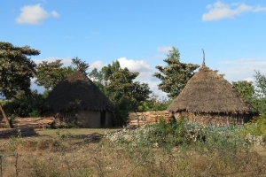 Ethiopia homes