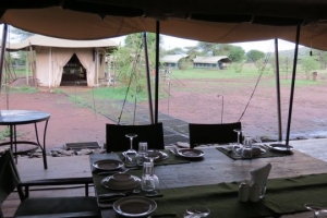 serengeti ronjo camp