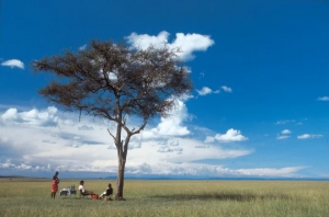 Rekero-Camp-Bush-lunch-tree