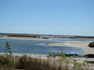 Camargue