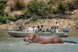 Zambia action 3