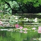 Be inpsired to paint in Giverny by the Royal Academy's Monet to Matisse Garden Exhibition