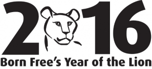 2016 is the Born Free Foundation's Year of the Lion